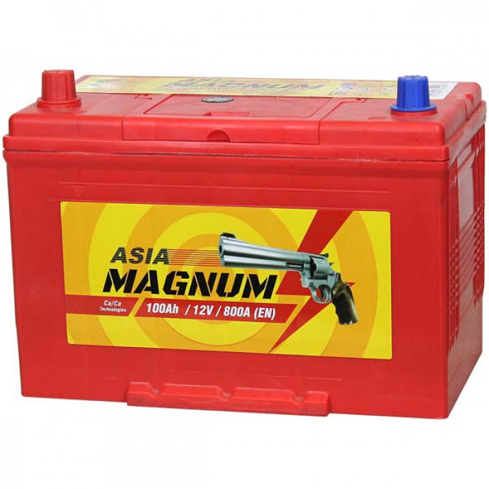 Аккумулятор Magnum  Asia 100Ah