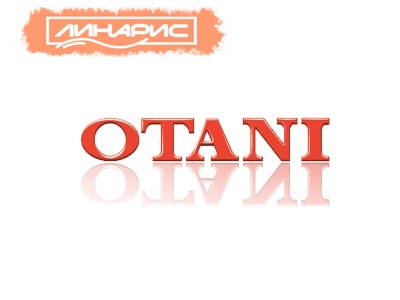 грузовые шины Otani