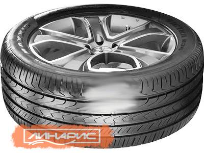 Maxxis Victra M36+